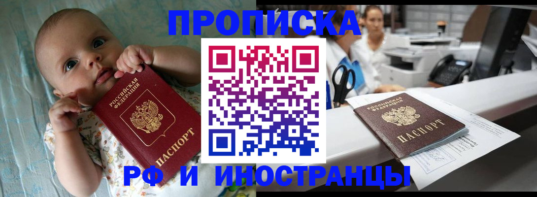 прописка поиск в Бородино